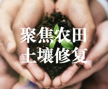 聚焦農(nóng)田土壤修復(fù)，保障糧食產(chǎn)品安全 ——踔厲奮發(fā)、篤行不怠，以奮斗之姿獻(xiàn)禮黨的二十大
